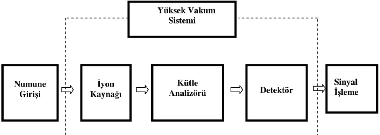 Şekil 2.1’deki blok diyagram, kütle spektrometrelerinin tüm çeşitlerine ait ana  bileşenleri göstermektedir