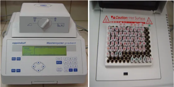 Şekil 3.1.3. Thermal Cycler PCR 4