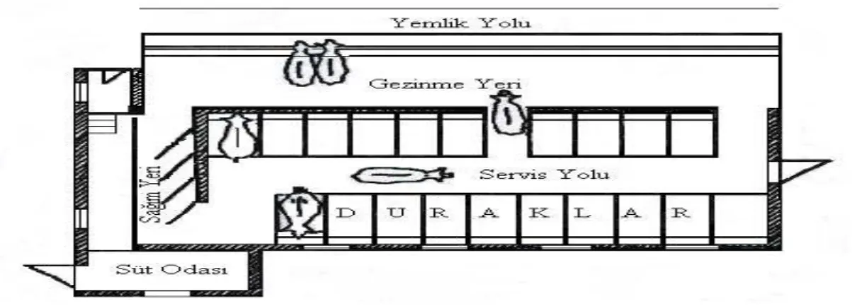 Şekil  8.  Açık,  dışarda  gezinme  yeri  olan  bir  barınak  taban  planı  (Anonymous  2001 )