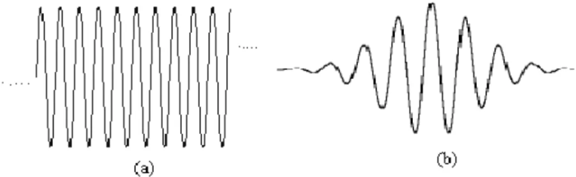 Şekil 3.1 Dalga (a) ve dalgacığın (b) gösterimi 
