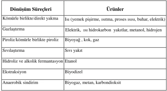Tablo 8.1 . Biyokütle enerjisi dönüşüm süreçleri ve ürünleri ( Ossenbrink 2004) 
