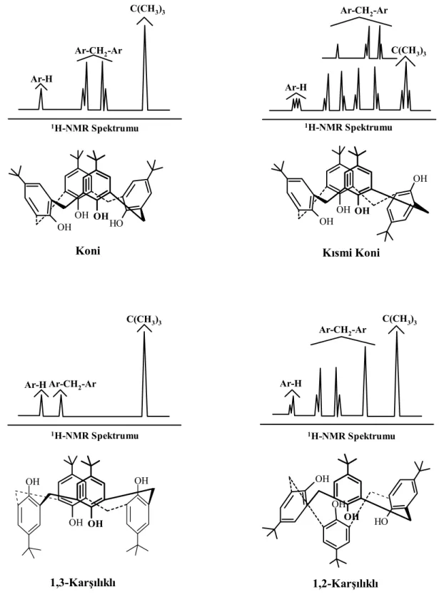 Şekil 1.2.9. p-t-bütilkaliks[4]arenin konformasyonları ve  1 H NMR spektrumları  