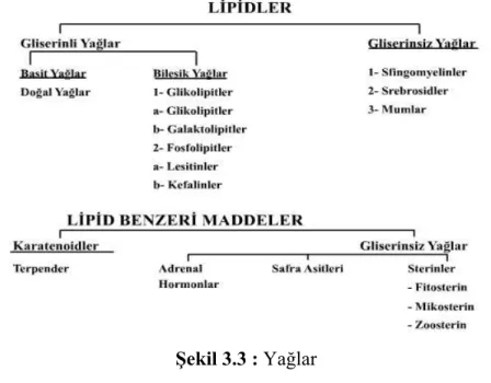 Şekil 3.3 : Yağlar 
