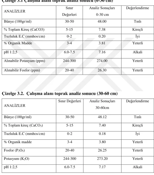 Çizelge 3.1 Çalışma alanı toprak analiz sonucu (0-30 cm) 