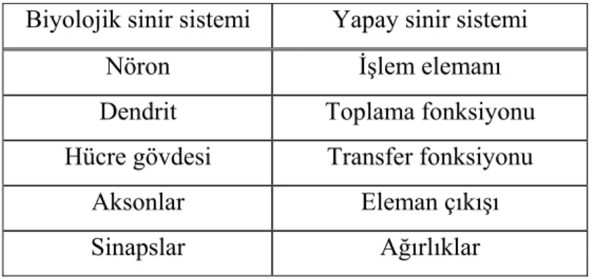 Çizelge 4.1 Biyolojik sinir sistemi ile YSA’ nın benzerlikleri  Biyolojik sinir sistemi  Yapay sinir sistemi 