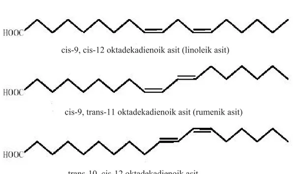 Şekil 1. Linoleik asit ile CLA’nın 9-cis,11-trans ve 10-trans, 12-cis izomerlerinin  yapısı 