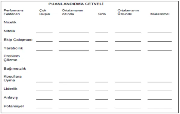 Tablo 7: Puanlandırma Cetveli 