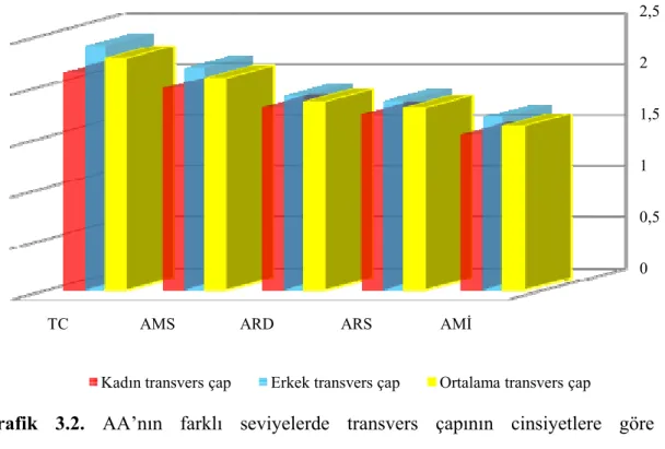 Grafik 3.2. AA’nın farklı seviyelerde transvers çapının cinsiyetlere göre  karşılaştırılması (cm)