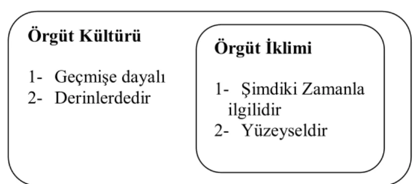 Şekil 2: Kültür-İklim Farkı 