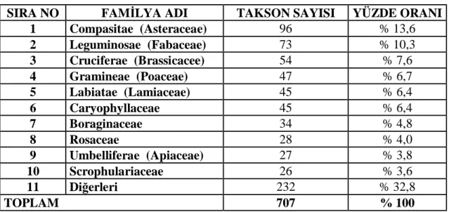 Çizelge 6.3. En çok taksona sahip ilk on familya ve takson sayıları 