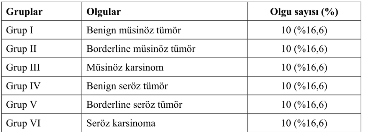 Tablo 4.2: Grupların dağılımı 