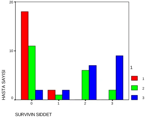 Grafik 4.2: Benign, borderline ve malign grupta survivin boyanma şiddeti 