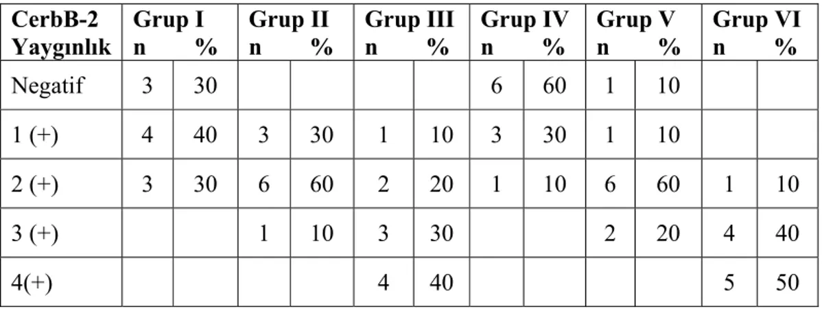 Tablo 4.7: CerbB-2 boyanma yaygınlığı  CerbB-2  Yaygınlık  Grup I  n        %  Grup II  n        %  Grup III n        %  Grup IV n        %  Grup V  n        %  Grup VI n        %  Negatif 3  30      6  60  1  10  1  (+)  4 40 3 30  1  10  3  30  1  10  2 