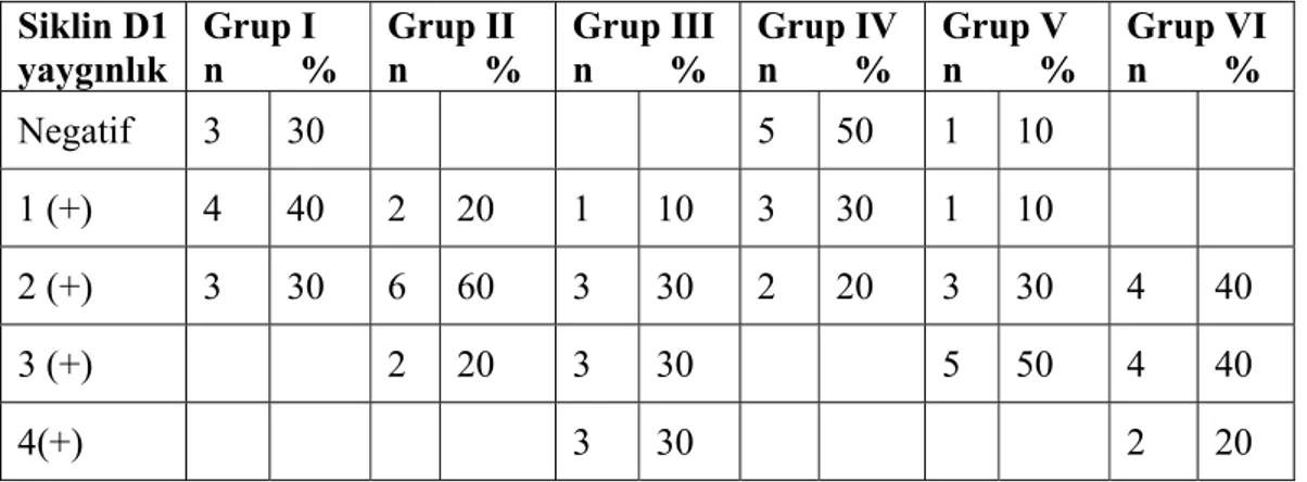 Tablo 4.9: Siklin D1 boyanma yaygınlığı  Siklin D1  yaygınlık  Grup I  n        %  Grup II  n        %  Grup III n        %  Grup IV n        %  Grup V  n        %  Grup VI n        %  Negatif 3 30    5  50  1  10  1 (+)  4  40  2  20  1  10  3  30  1  10 