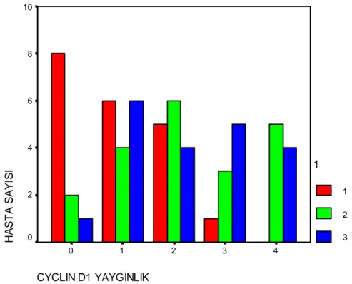 Grafik 4.5: Benign, borderline ve malign grupta siklin D1 boyanma yaygınlığı 