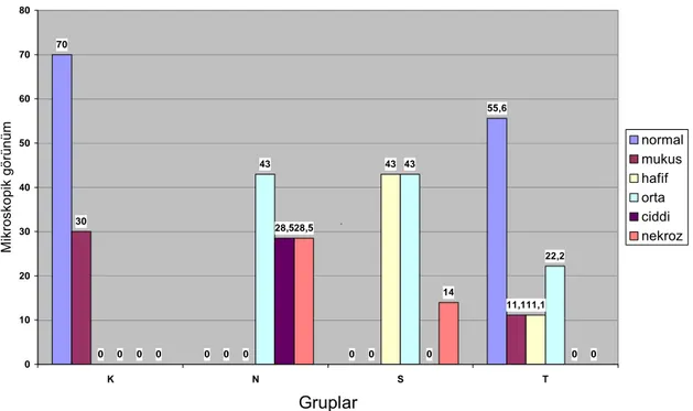Grafik 3: Tüm grupların histopatolojik değerlendirme skor yüzdeleri  