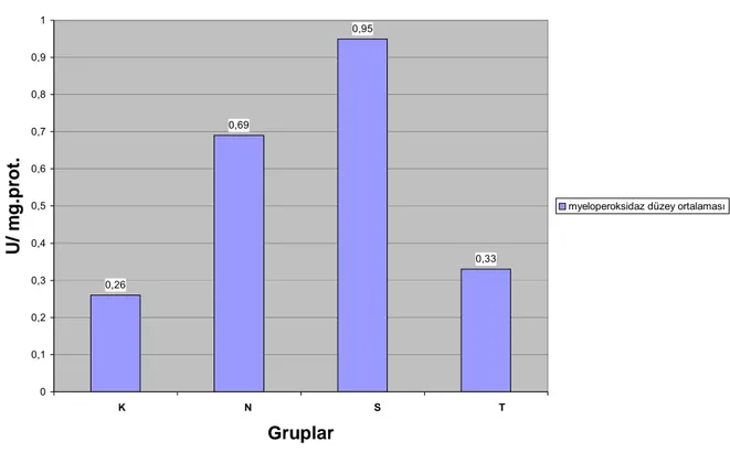Grafik 4: Tüm gruplardaki MPO değerlerinin ortalama seviyeleri  0,26 0,69 0,95 0,33 00,10,20,30,40,50,60,70,80,91     K       N           S            T GruplarU/ mg.prot.