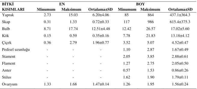 Çizelge  5.2.  H.  lazulina  morfolojik  karakterlerin  sayısal  de erleri  (SD:  standart  Sapma)