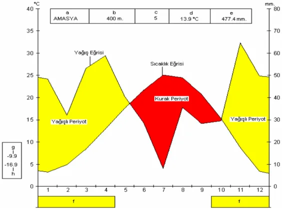 Şekil 2- Amasya meteoroloji istasyonu iklim diyagramı 