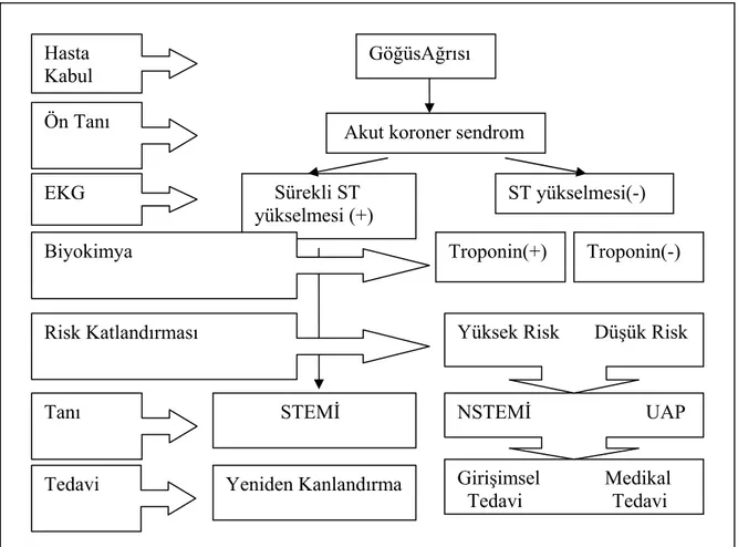 Şekil 1. Akut koroner sendrom yelpazesi  ve değerlendirmesi 