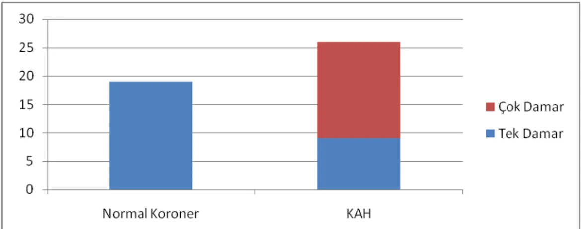 Şekil 2. Hastaların anjiyografik özellikleri 