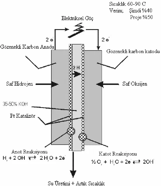 Şekil 1.1 Alkali yakıt pilinin şematik gösterimi 