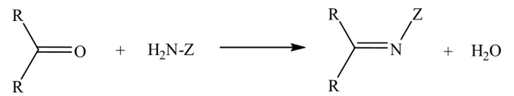 Şekil 1. 1. Schiff bazı oluşum reaksiyonu (R: alkil veya aril, Z: alkil, aril ve hidroksil  dışındaki moleküller)