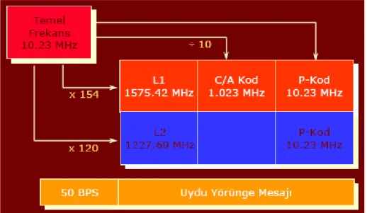 Şekil 2-8 GPS uydu sinyal bileşenleri (Rizos, 1997) 