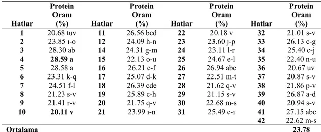 Çizelge 4.5. Araştırmada Kullanılan Fasulye Hatlarına Ait Protein Oranı Değerleri  (%) ve Duncan Grupları  Hatlar   Protein Oranı  (%) Hatlar  Protein Oranı  (%) Hatlar  Protein Oranı  (%) Hatlar  Protein Oranı (%)  1  20.68 tuv  11  26.56 bcd  22  20.18 v