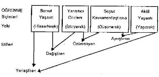 ġekil 2.2.3.1. Kolb’ un Öğrenme Modeli 