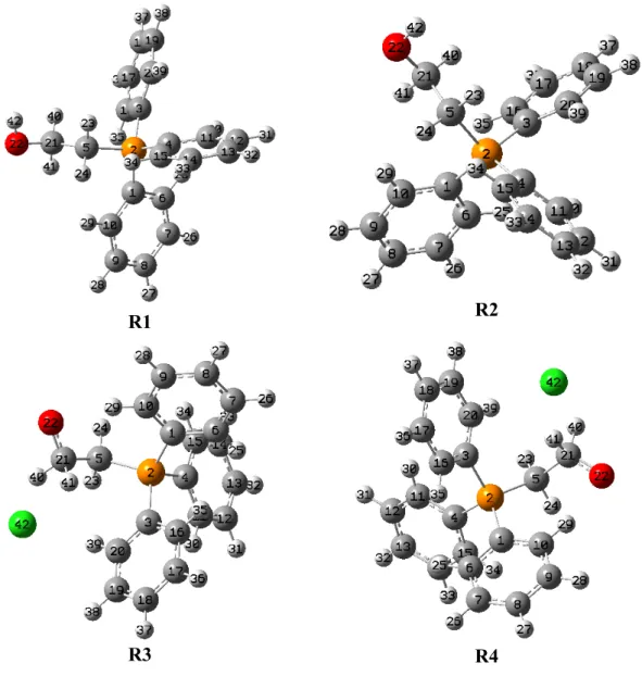 Şekil 4.8. Model Radikallerin optimize edilmiş geometrileri. 
