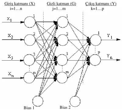 Şekil 4.4. Çok katmanlı yapay sinir ağı yapısı Giriş katmanı (X)      i=1…n Gizli katman (G)      j=1…m  Çıkış katmanı (Y)      k=1…p Bias 1 Bias 2 