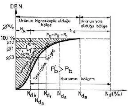 Şekil 2.1 Sorpsiyon eğrisinin kurumanın statiği açısından anlamı (Yağcıoğlu 1999) 