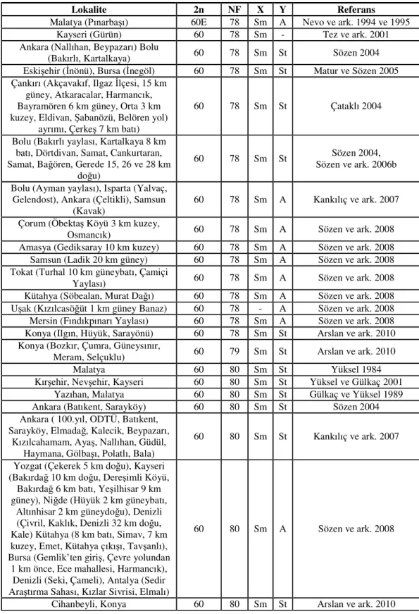 Tablo 2.1.’in devamı 
