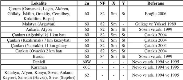 Tablo 2.1.’in devamı 