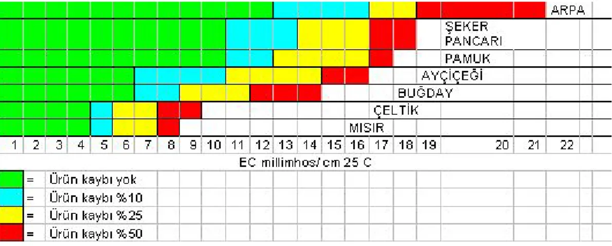 Şekil 2.1. Toprak tuzluluğunun çeşitli bitkilerde verim kaybına etkisi.  