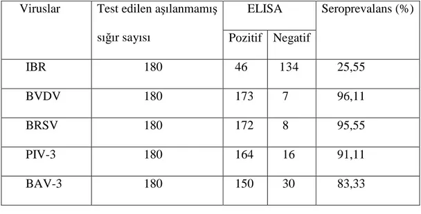 Tablo 4.1.2. Konya’ daki 180 aşılanmamış sığırda 5 virusa karşı seropozitivite                    sonuçları