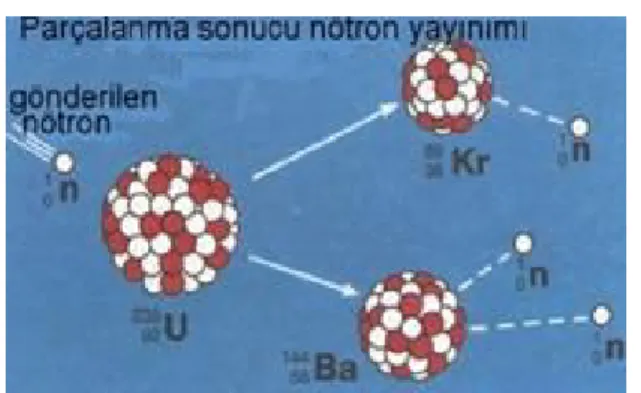 Şekil 1.10 Nötron  yayınımı 
