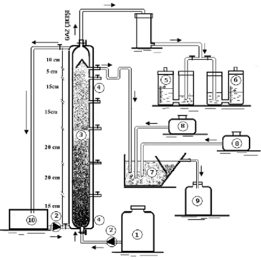 Şekil  3.3.1:  Laboratuvar  ölçekli  sürekli  ardışık  anaerobik-aerobik  sistem  deney  düzeneği (1: Besleme tankı, 2: Zaman ayarlı peristaltik pompa, 3; YAÇYR reaktör,  4; Sıcaklık kontrollü ısıtma ceketi, 5; Toplam gaz ölçümü ( %2 (V/V) H 2 SO 4  ve %10