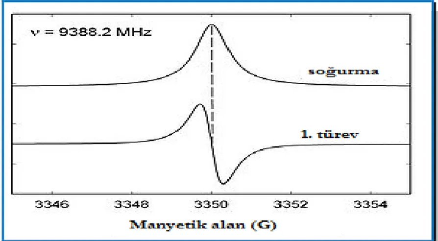 ġekil 3.6   ESR sinyalinin soğurma Ģiddet eğrisi ve bunun birinci   türevi olarak olarak ortaya çıkan rezonans eğrisi 