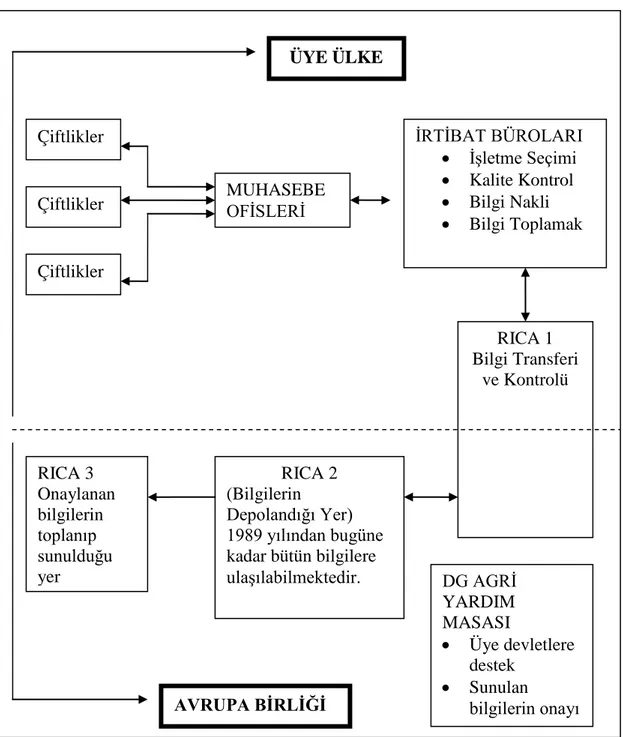 Şekil  5.2. Fadn sisteminde veri akışı ve yapılar arası ilişkiler   (Altınkol 2006).  ÜYE ÜLKE  İRTİBAT BÜROLARI • İşletme Seçimi •  Kalite Kontrol •  Bilgi Nakli •  Bilgi Toplamak MUHASEBE OFİSLERİ Çiftlikler Çiftlikler Çiftlikler AVRUPA BİRLİĞİ DG AGRİ Y