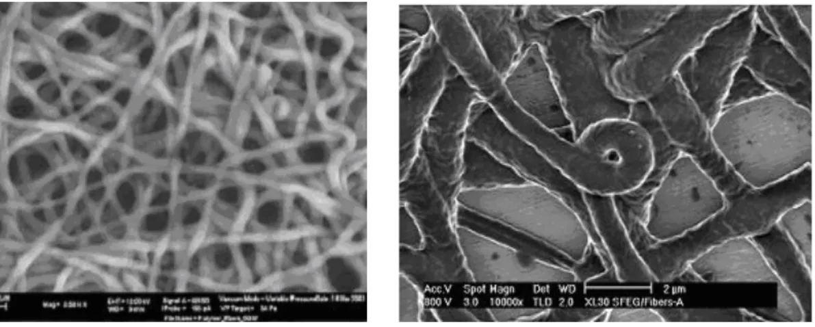 Şekil 1.1 Nanofiber yapıların SEM görüntüleri. 