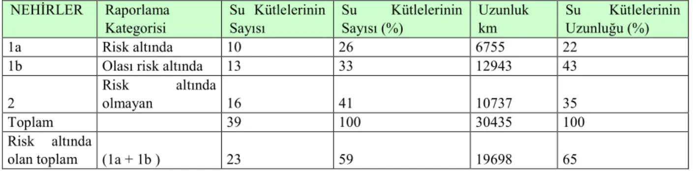 Tablo 4.10 Yayılı kaynaklı baskılardan etkilenen nehir su kütlesi sayısı 