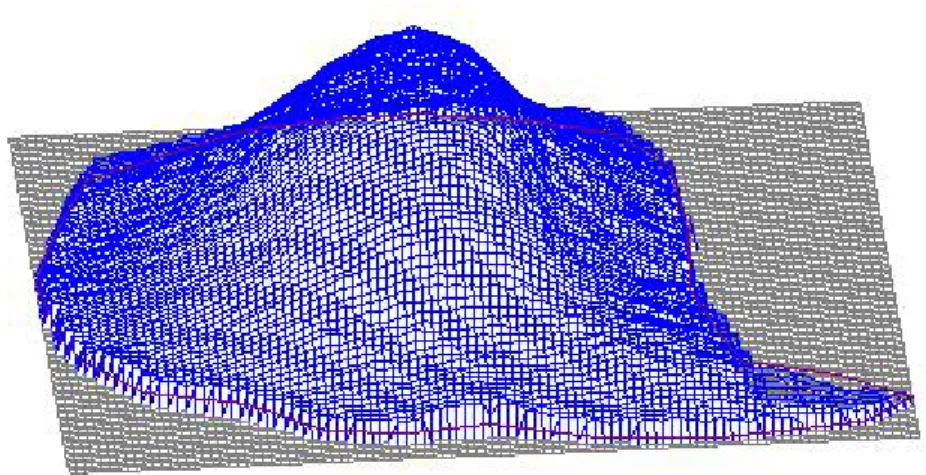 Şekil 3-8 Grid yapısı 