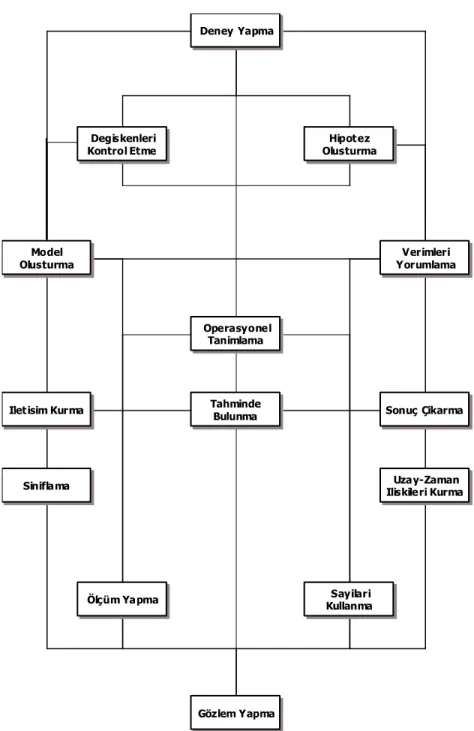 Şekil 2.4. Bilimsel Süreç Becerileri Modeli (Anderson ve ark. 1970). Deney YapmaDegis kenleri Kontrol EtmeHipotez OlusturmaModel OlusturmaVerimleri YorumlamaOperasyonel TanimlamaTahminde 