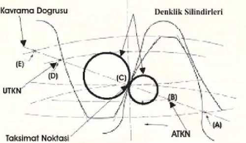 Şekil 3.6.  Düz dişli çark dişlerine ait temas şekli 