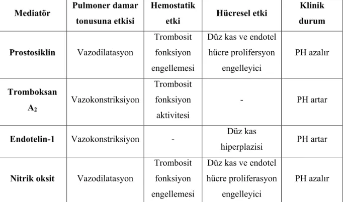 Tablo 2: Pulmoner hipertansiyonla ilişkili mediatörlerin damar tonusu, hemostatik, hücresel  ve klinik duruma etkileri