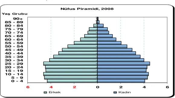 Grafik 4.1.Türkiye Nüfus Piramidi 