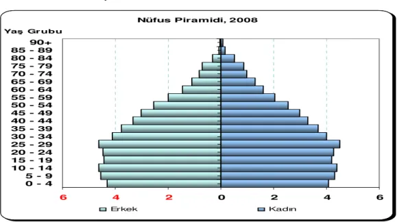 Grafik 4.1.Türkiye Nüfus Piramidi 