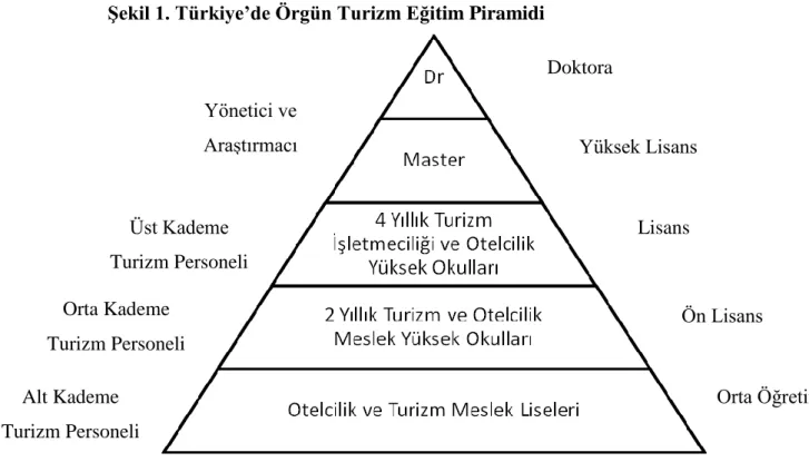 ġekil 1. Türkiye’de Örgün Turizm Eğitim Piramidi 